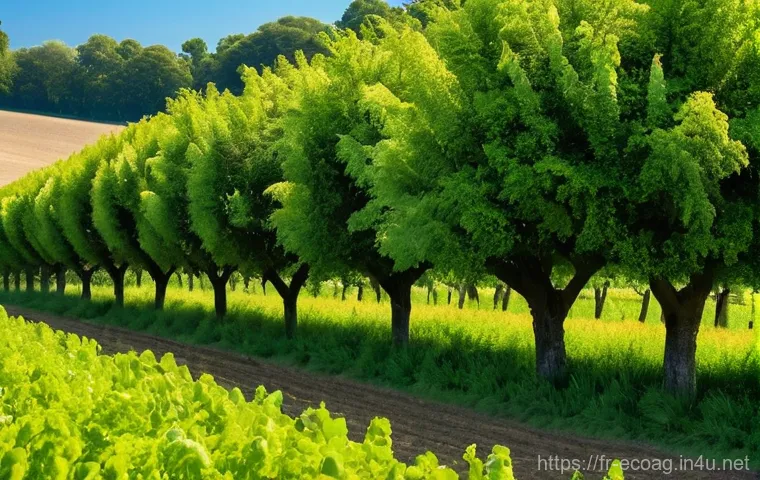 친환경농업 기술의 장기적인 전망 - **Prompt:** A serene, wide-angle shot of a cutting-edge French agricultural landscape during the gol...