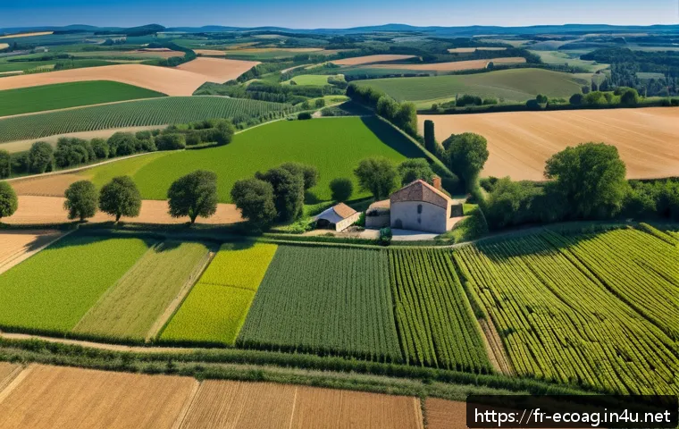 친환경농업기술자 이직 준비를 위한 조언 - A vibrant French organic farm landscape showcasing sustainable agriculture practices: diverse crop f...